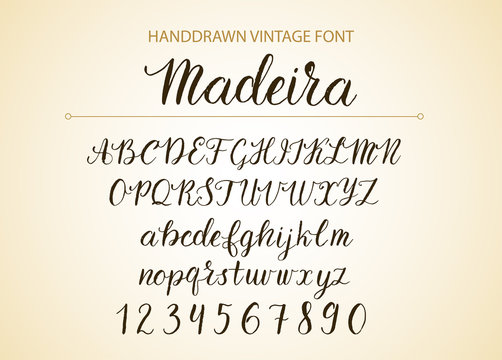 Handdrawn Vector Script font.  Brush style textured calligraphy cursive typeface. 