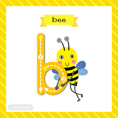 Letter B lowercase cute children colorful zoo and animals ABC alphabet tracing flashcard of Happy Bee standing for kids learning English vocabulary and handwriting vector illustration.