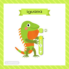 Letter I lowercase cute children colorful zoo and animals ABC alphabet tracing flashcard of Iguana standing on two legs for kids learning English vocabulary and handwriting vector illustration.