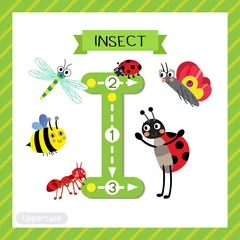 Fotobehang Letter I uppercase cute children colorful zoo and animals ABC alphabet tracing flashcard of Insects for kids learning English vocabulary and handwriting vector illustration. © natchapohn