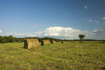 Hay bales on the field, blue sky and white cloud