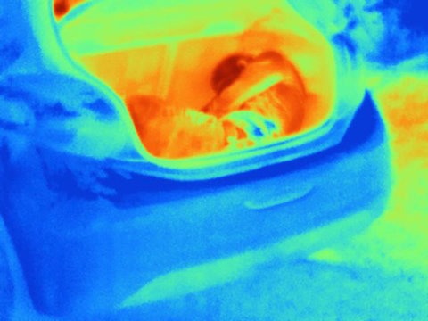 Thermal image illustrating people smuggling