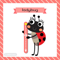 Letter L lowercase cute children colorful zoo and animals ABC alphabet tracing flashcard of Standing Ladybug for kids learning English vocabulary and handwriting vector illustration.