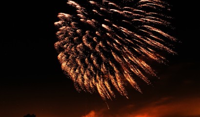 festive fireworks. multicolored salute in the night sky.