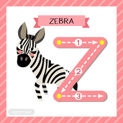 Fototapeta na wymiar Letter Z uppercase cute children colorful zoo and animals ABC alphabet tracing flashcard of Zebra for kids learning English vocabulary and handwriting vector illustration.