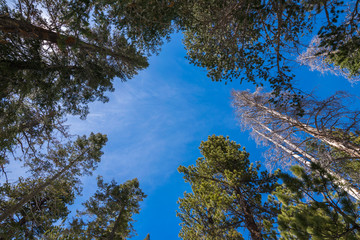 Obraz premium San Jacinto Mountain, Riverside County, California, USA