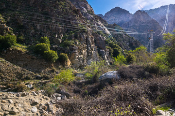San Jacinto Mountain, Riverside County, California, USA