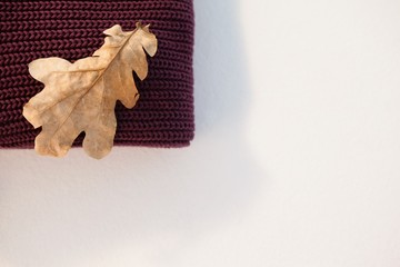 Woolen cloth with autumn leaves