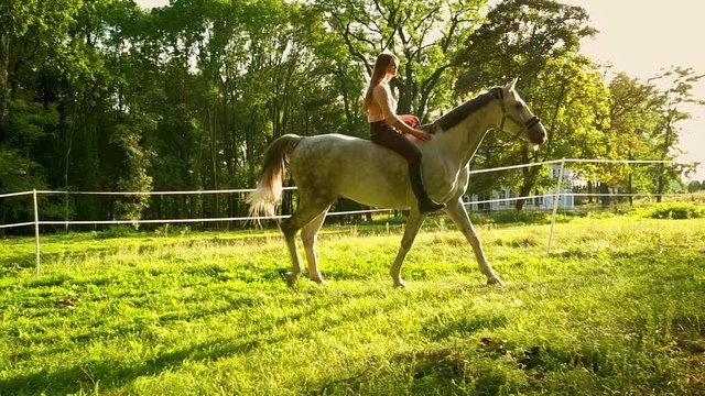 Young woman riding horse on green field, slow motion