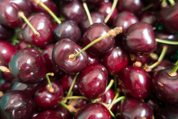 Closeup of pile of ripe cherries with stalks