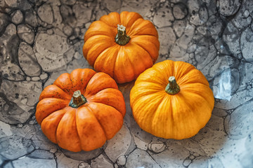 Small orange pumpkin on a ceramic plate