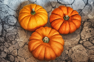 Small orange pumpkin on a ceramic plate