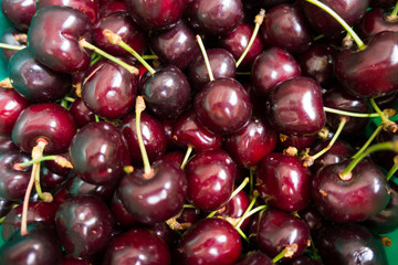 Fruits of sweet cherry with green peduncles