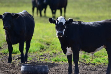 Trip to Washington, Oregon, USA