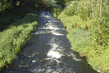 Fluss, Strömendes Wasser, Grünes Ufer