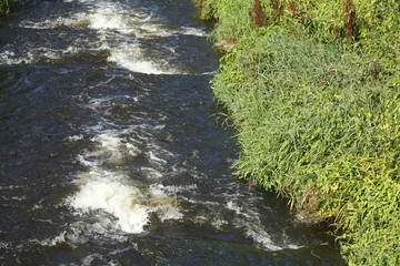 Fluss, Strömendes Wasser, Grünes Ufer