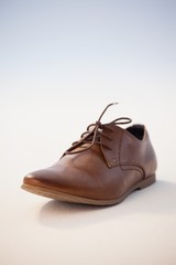 Brown shoe against white background