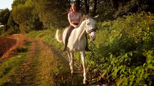 Young woman riding horse on country field during sunset