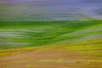 Obraz premium Colour Field 16