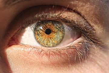 Close up of a hazel green eye