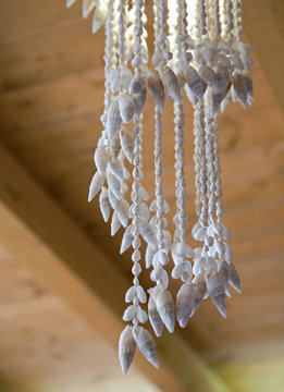 shells