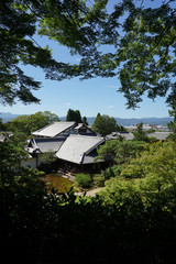 緑と日本建築