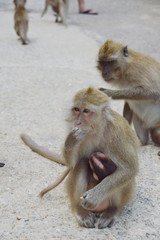 Processed with VSCO with  preset