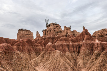 Desierto Tatacoa