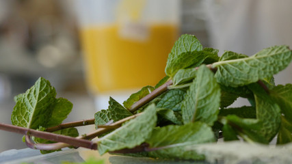 Mint sprigs on a table. Fragrant mint leaves