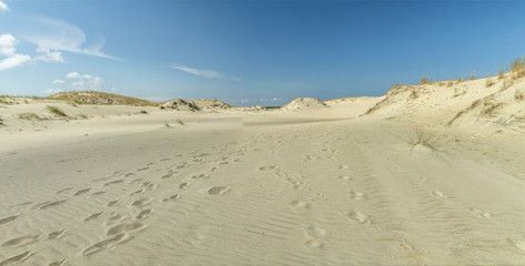 Sand Dune panorama