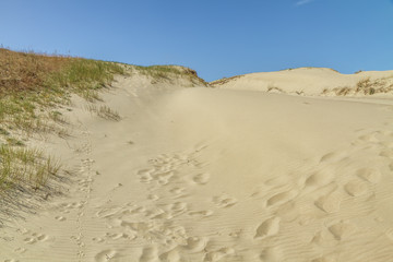 Hill of sand