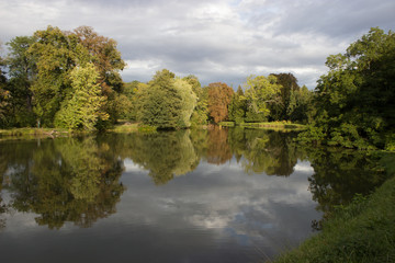 A pond with trees