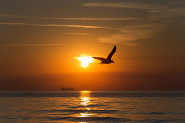Fototapeta na wymiar Beautiful sunrise at Black Sea, Romania