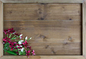 Flat lay design with Rangoon creeper or Quisqualis indica flower on wooden background,top view