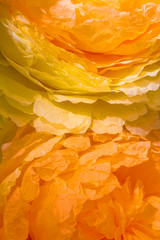 Orange roses. Macro. Wedding background
