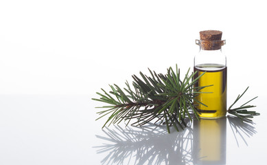 Pine essential oil on white background