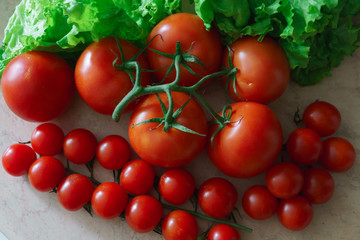 Large and small red tomatoes along with lettuce leaves.