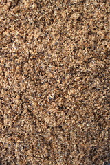 Malted barley grains