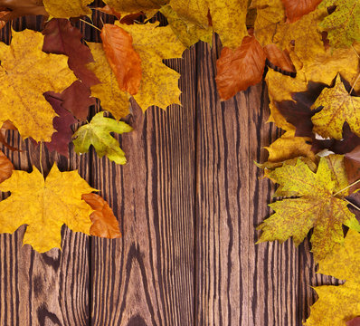  autumn leaves on background