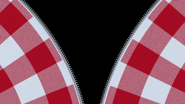 Zip fastener on red and white checkered flannel shirt.