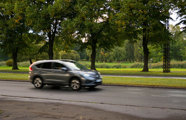 Fototapeta premium Gray car moving on the road in city park on cloudy autumn day. Motion blur.