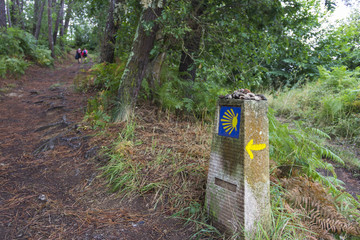 Camino de Santiago