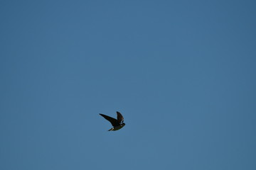 Trip to Washington, Oregon, USA