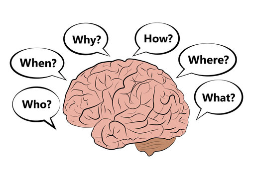 Vector icon of the human brain with questions.