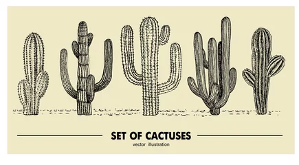 Foto op Canvas Vector set of hand drawn cactus. Sketch illustration. Different cactuses in monochrome style © Siberian Art