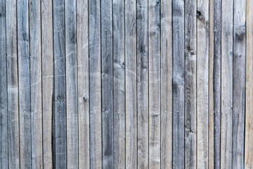 Fototapeta premium Holz Textur 