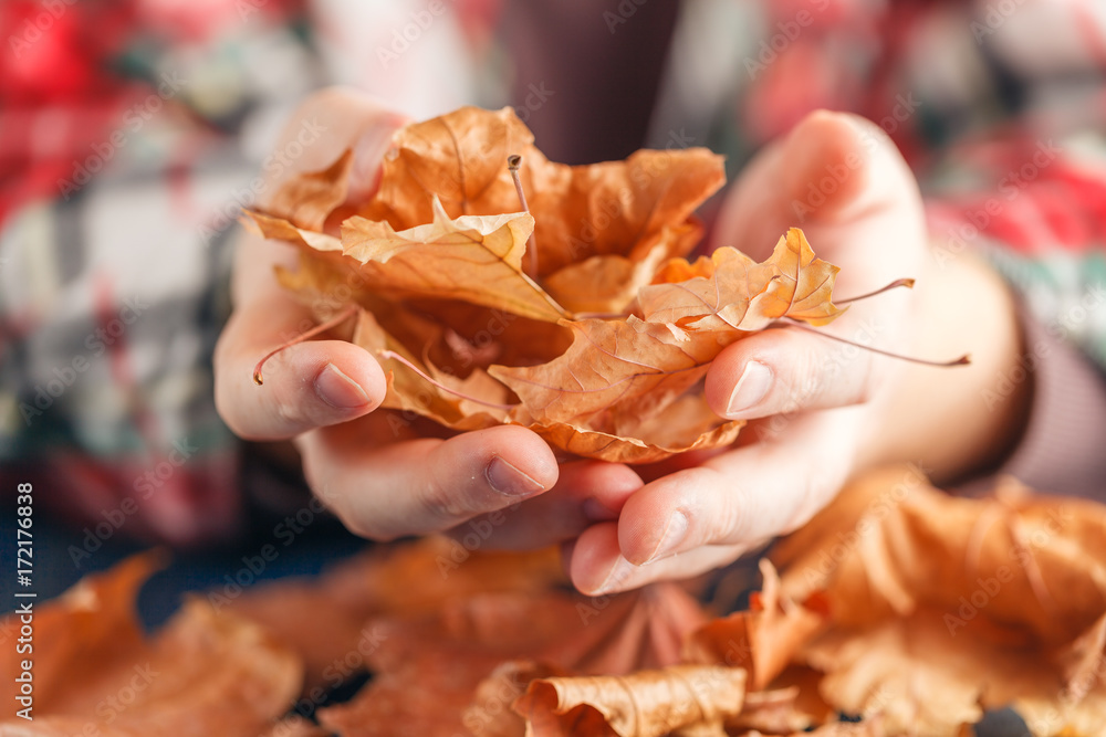 Canvas Prints heap of fall leaf on blue table in hands
