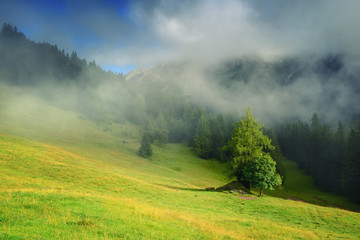 Fototapeta premium Beautiful summer mountain landscape in the Alps. Sunny morning