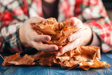 Heap of autumn leaf in hands
