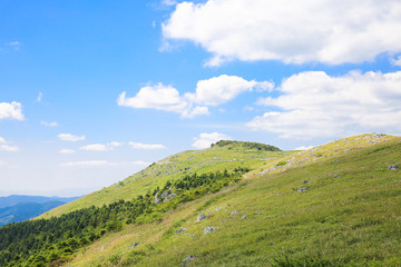 四国カルスト　天狗高原の風景